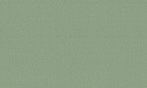 На фоне PL71947-77 Polynesia