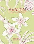 Thibaut Avalon Thibaut Avalon