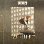 Attitude Attitude