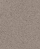 На фоне 520873 Beltesto