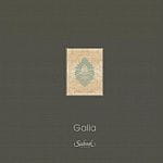 Seabrook Galia Seabrook Galia
