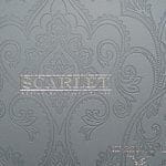 KT-Exclusive Scarlet KT-Exclusive Scarlet