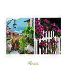 Estro Molize Estro Molize