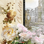 Cristiana Masi Carlotta Cristiana Masi Carlotta