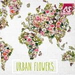 Urban Flowers Urban Flowers