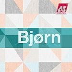 Bjorn Bjorn