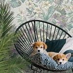 Victoria Stenova Bounty Victoria Stenova Bounty