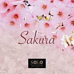 IPA Sakura IPA Sakura