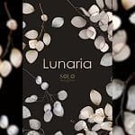 Solo Lunaria Solo Lunaria