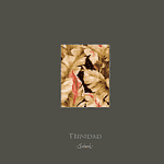 Seabrook Trindad Seabrook Trindad