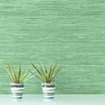 Wallquest Grass Resource Wallquest Grass Resource