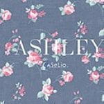 Caselio Ashley Caselio Ashley