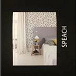 BN International Speach BN International Speach